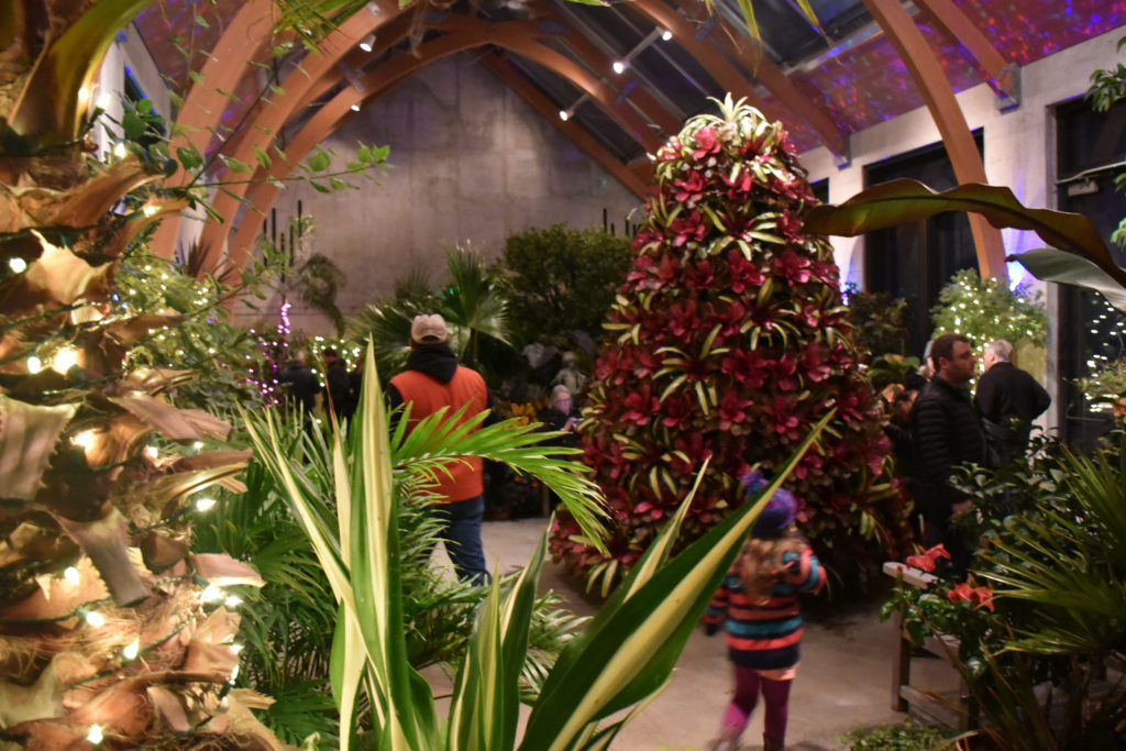 30441983274_26da2e1c68_k-2