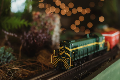 49158197482_d2543fc6db_w The train runs during Night Lights.