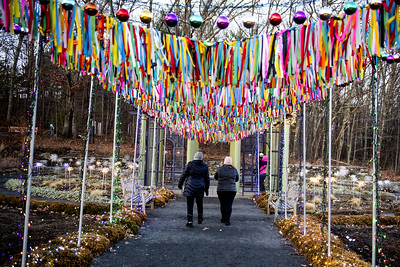2019 New England Botanic Garden at Tower Hill Night Lights Visitors walk through the decorated Nadeau Garden.