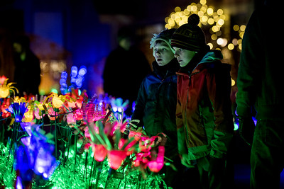 2019 New England Botanic Garden at Tower Hill Night Lights An evening image of two children looking at the plastic flowers at Night Lights.