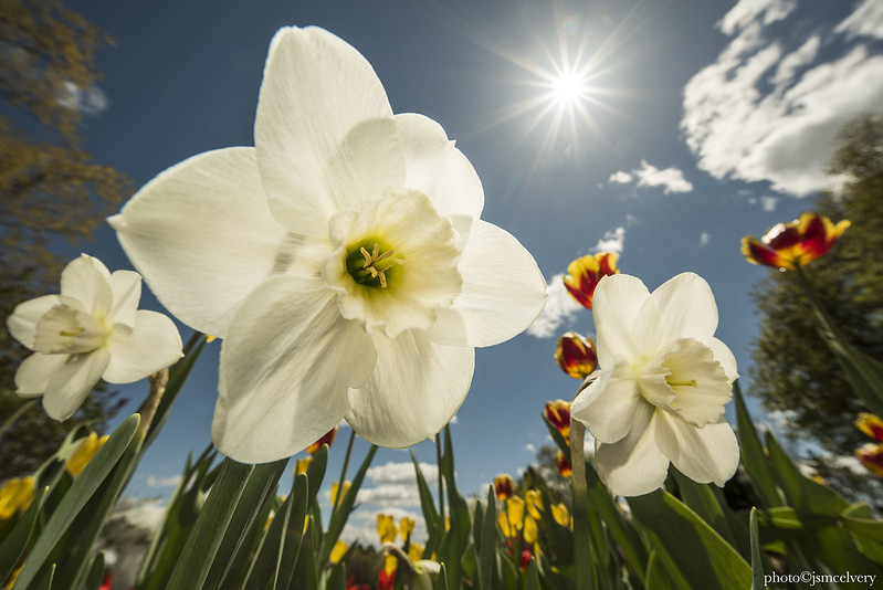 Jonathan McElvery photo Jonathan McElvery photo