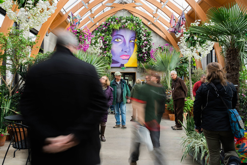 49482804521_590014178d_c A past orchid show in the Limonaia.