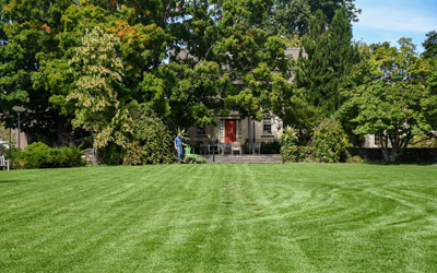 The Lawn Garden being mowed.