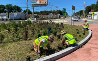 Horticulture staff planting in the Lincoln rotary.