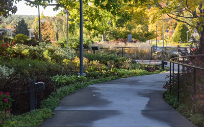 The view leaving the Visitor Center and walking down through the Entry.