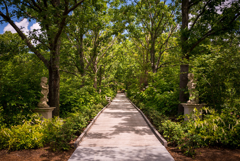 Pliny's Allee in the summer.