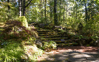 The Moss Stairs are lit by the sun.