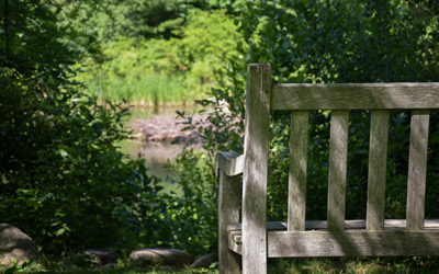 A bench alongside the pond gives a great view of the water.