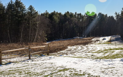 Standing meadow plants support habitat for animals throughout the winter months.
