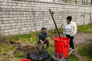 Horticulture outreach field supervisor Seth Libby and homeowner Jackie Harris discuss Jackie's new tree 