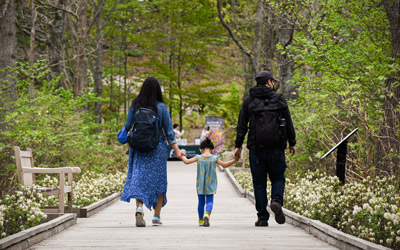 A family walks hand in hand down Pliny’s Allée toward The Ramble.