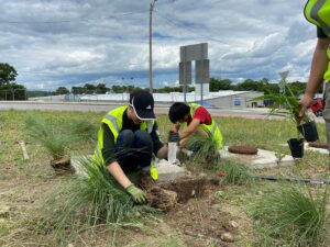 Horticulture team work on Lincoln St Rotary.