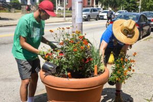 Horticulture team work in Main South Neighborhood.