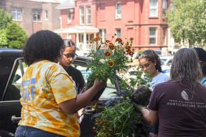 Horticulture team work in Main South Neighborhood.