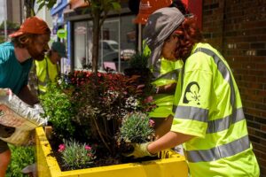 Horticulture team work in Main South Neighborhood.