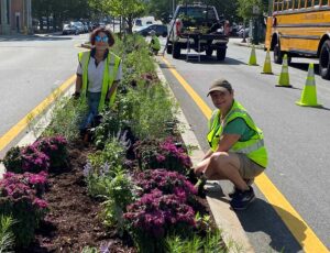 Horticulture team work on the Myrtle Median