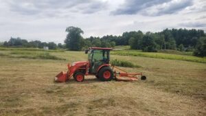 A wildlife meadow left standing after mowing. 