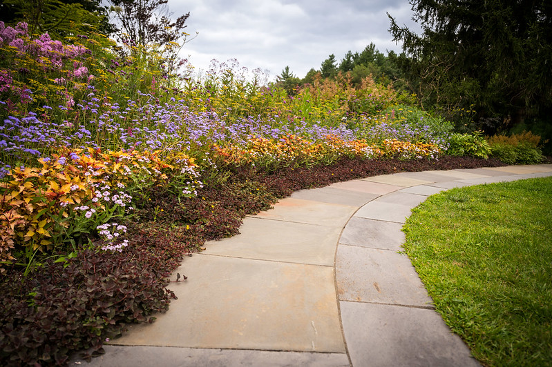 Flowers blooming along the walkway in the secret garden.