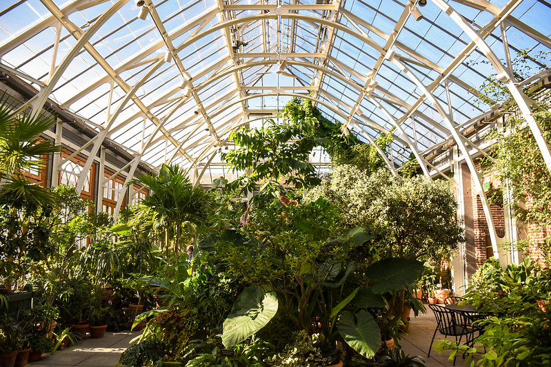The Orangerie filled with plants on a sunny day.
