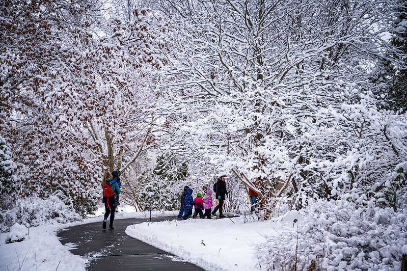 Visitors walking around the garden during wintertime.