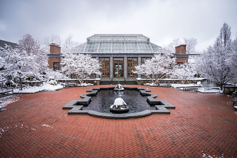 The winter garden with a coat of snow.