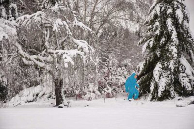 A blue yeti stands in the garden during Yeti, Set, Go.