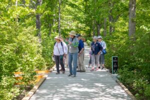 A volunteer leads a tour down Pliny's Allee.