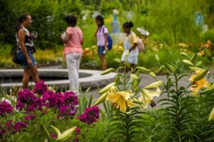 Visitors walking around the Garden of Inspiration. Visitor guidelines featured image