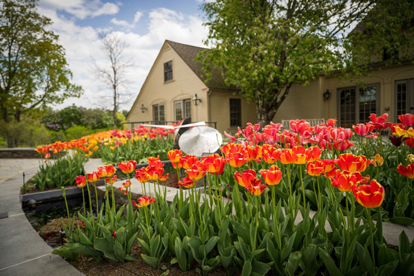 The Garden of inspiration filled with spring blooms. Who we are featured image.