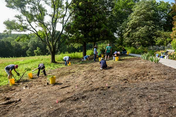 Volunteers and Horticulture staff working on the beneficial border