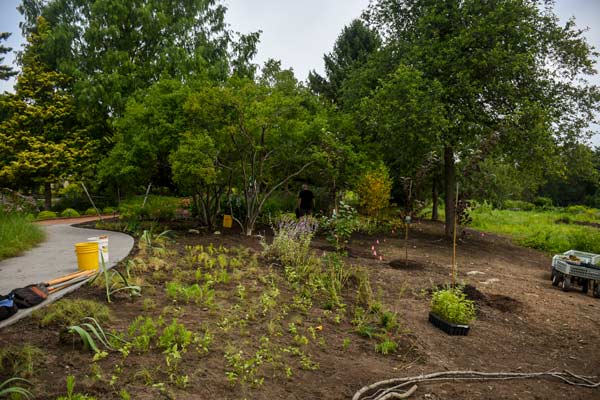 Volunteers and Horticulture staff working on the beneficial border