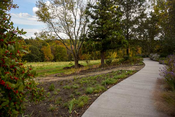 The beneficial border filled with mulch and plants
