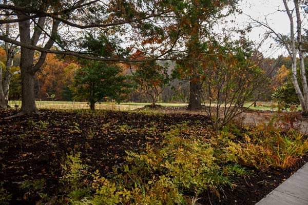 The beneficial border filled with mulch and plants.