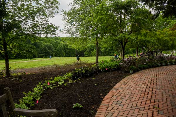 Volunteers and Horticulture staff working on the beneficial border