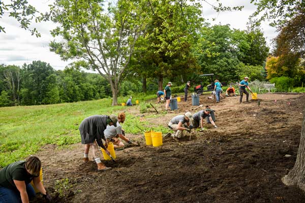 Volunteers and Horticulture staff working on the beneficial border