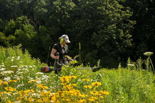 Horticulture staff out in the meadows using electric tools.