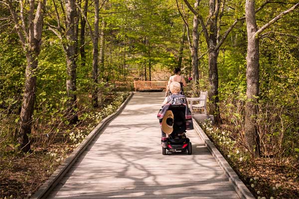 The accessible path added on Pliney's Alleé.