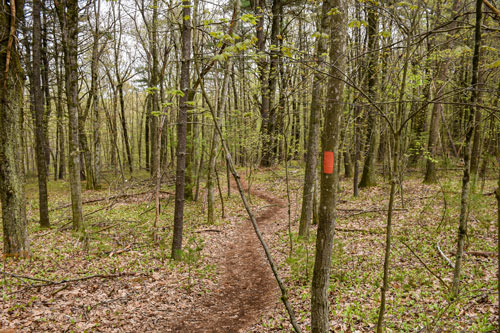 A coral blaze marks the Summit Trail.