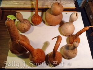 Collected gourds in a circle