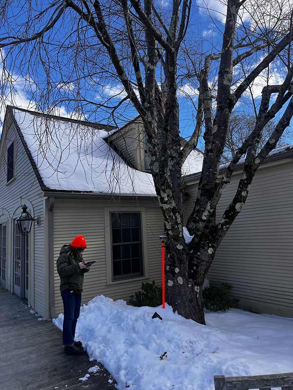 Anna marks the location of a cherry tree in The Court: A Garden Within Reach. 