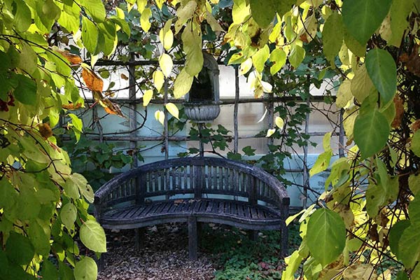 Berkshire Botanic Garden's bench outside