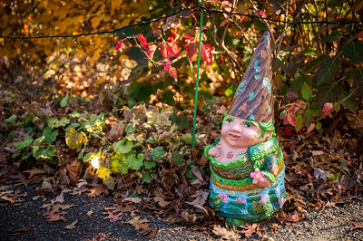 A decorated gnome during the fall at the Garden