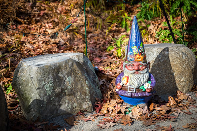 A decorated gnome during the fall at the Garden