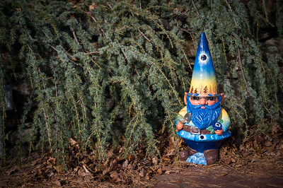 A decorated gnome during the fall at the Garden
