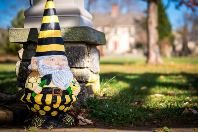 A Bee decorated and painted gnome