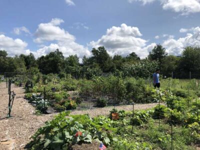 Berlin Community Gardening space