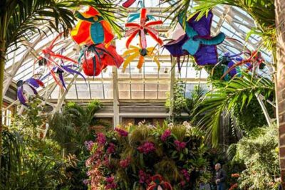 The large flowers hanging from the ceiling in the Orangerie during Patterns in Bloom.