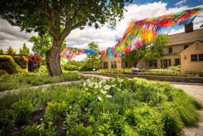 A skynet in The Court