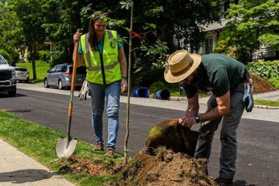 New England Botanic Garden CEO Grace Elton and Director of Horticulture Steve Conaway.